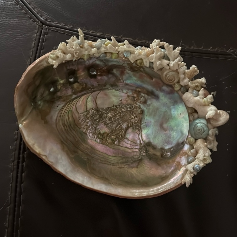 Elegant Abalone Shell Art trinket dresser piece